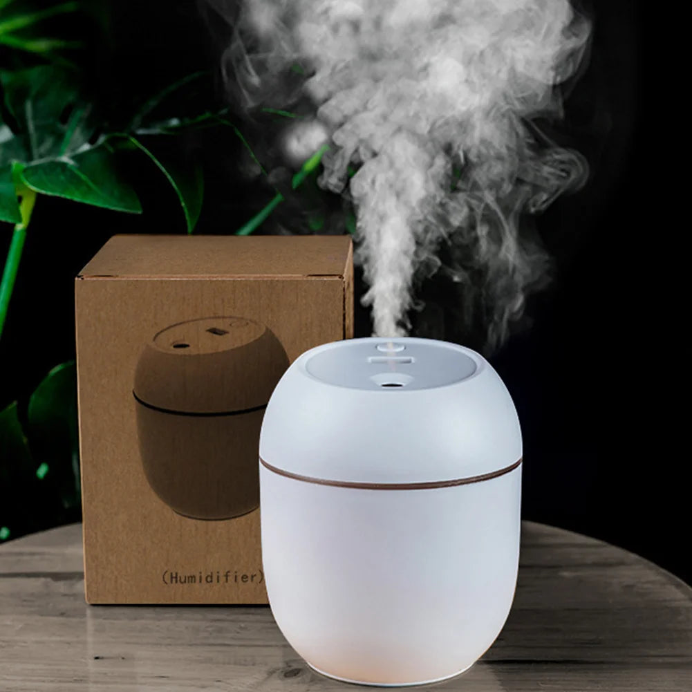 Mini USB Air Humidifier & Essential Oil Diffuser