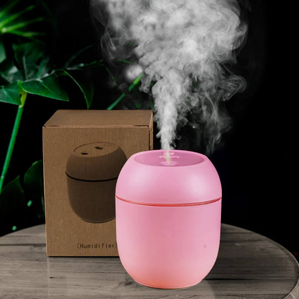 Mini USB Air Humidifier & Essential Oil Diffuser